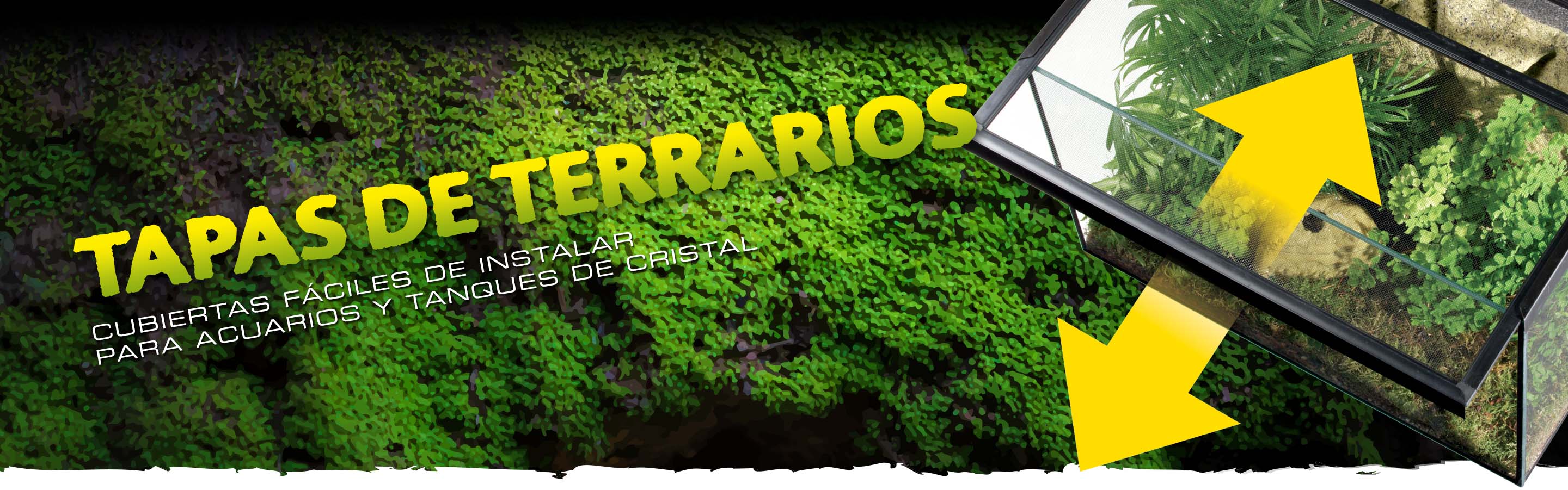 Terrarium Covers Header