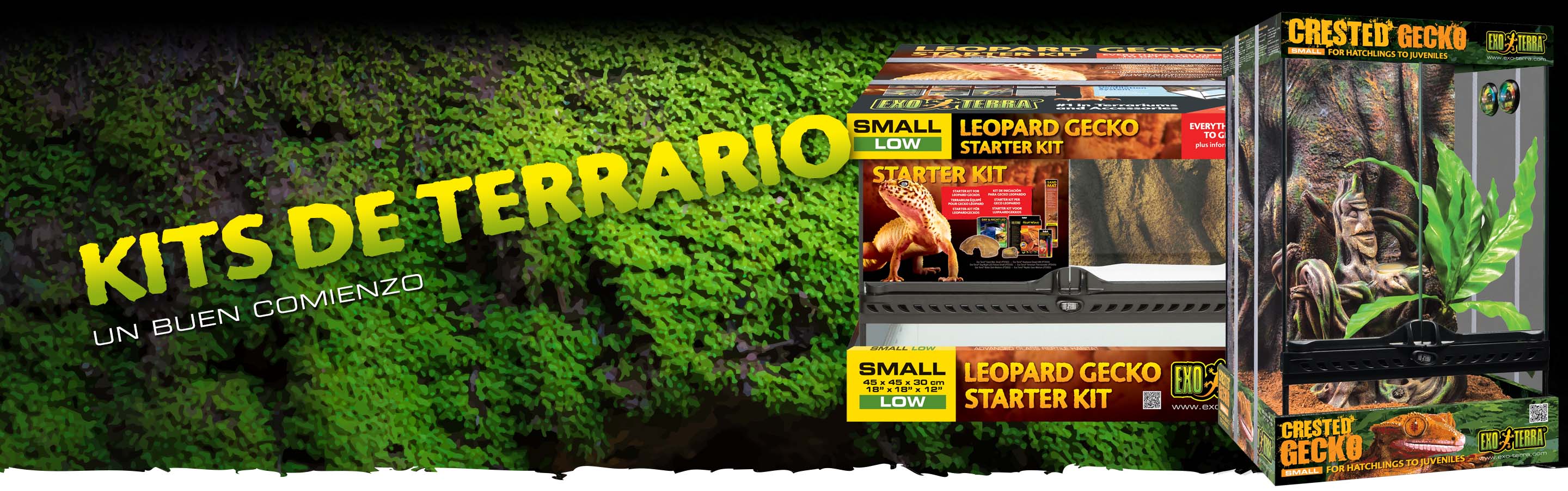 Terrarium Kits Header