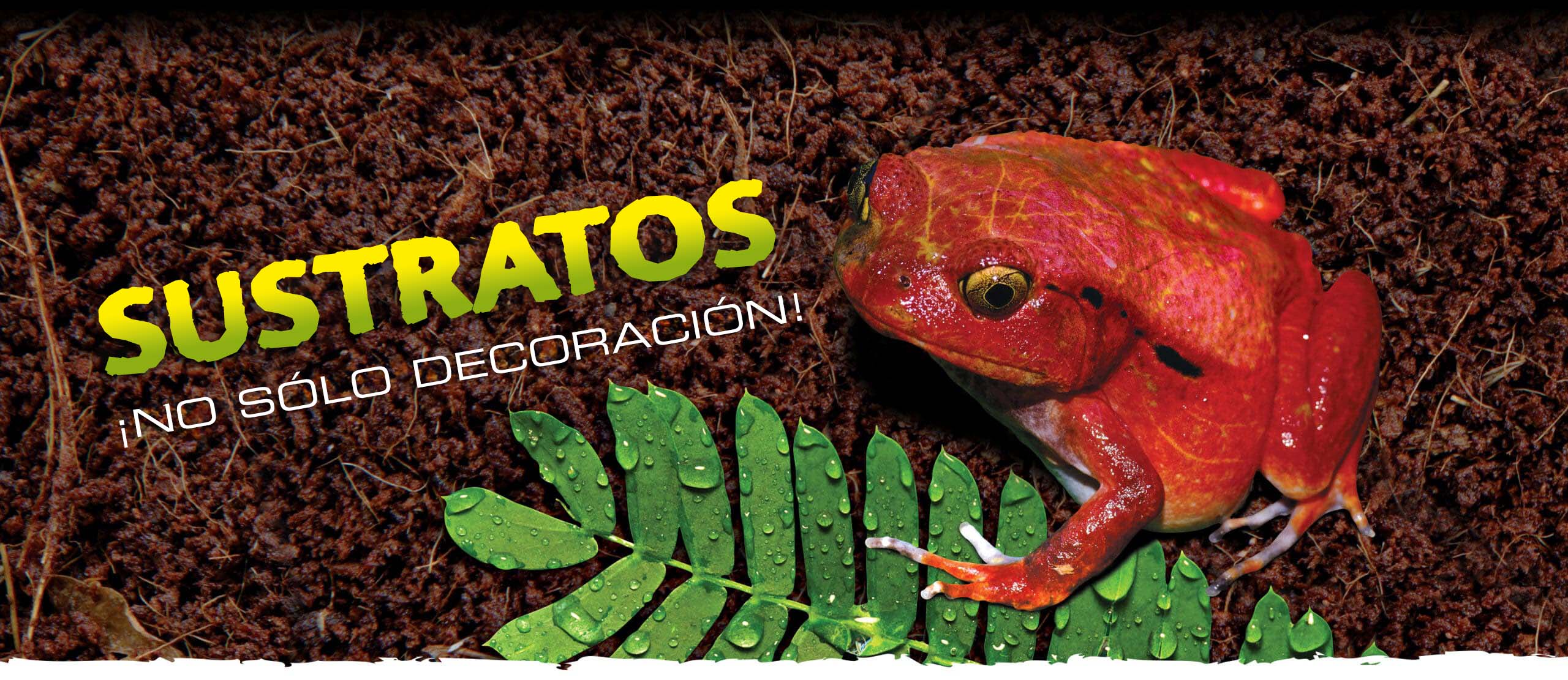 Substrates: not just for decoration