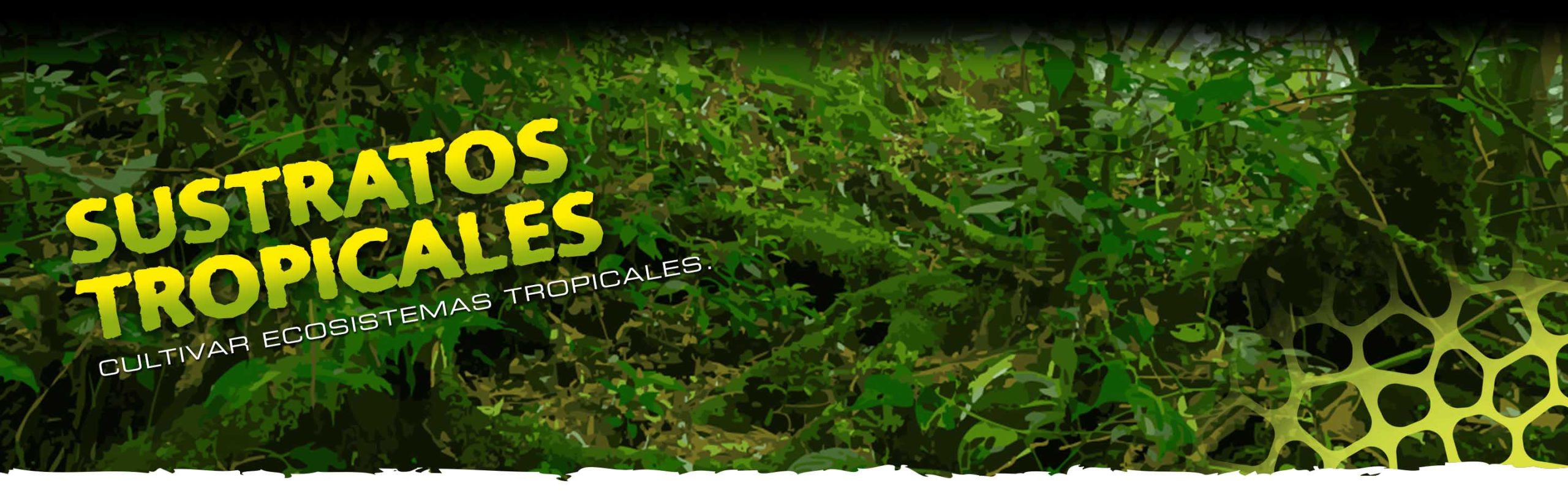 Tropical Substrates Header