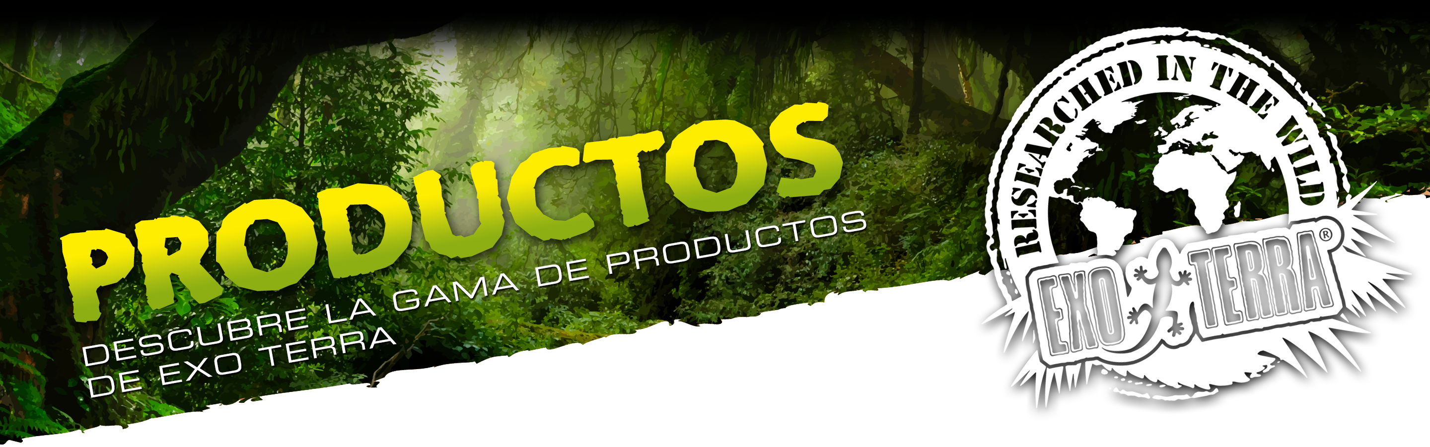 Products Header