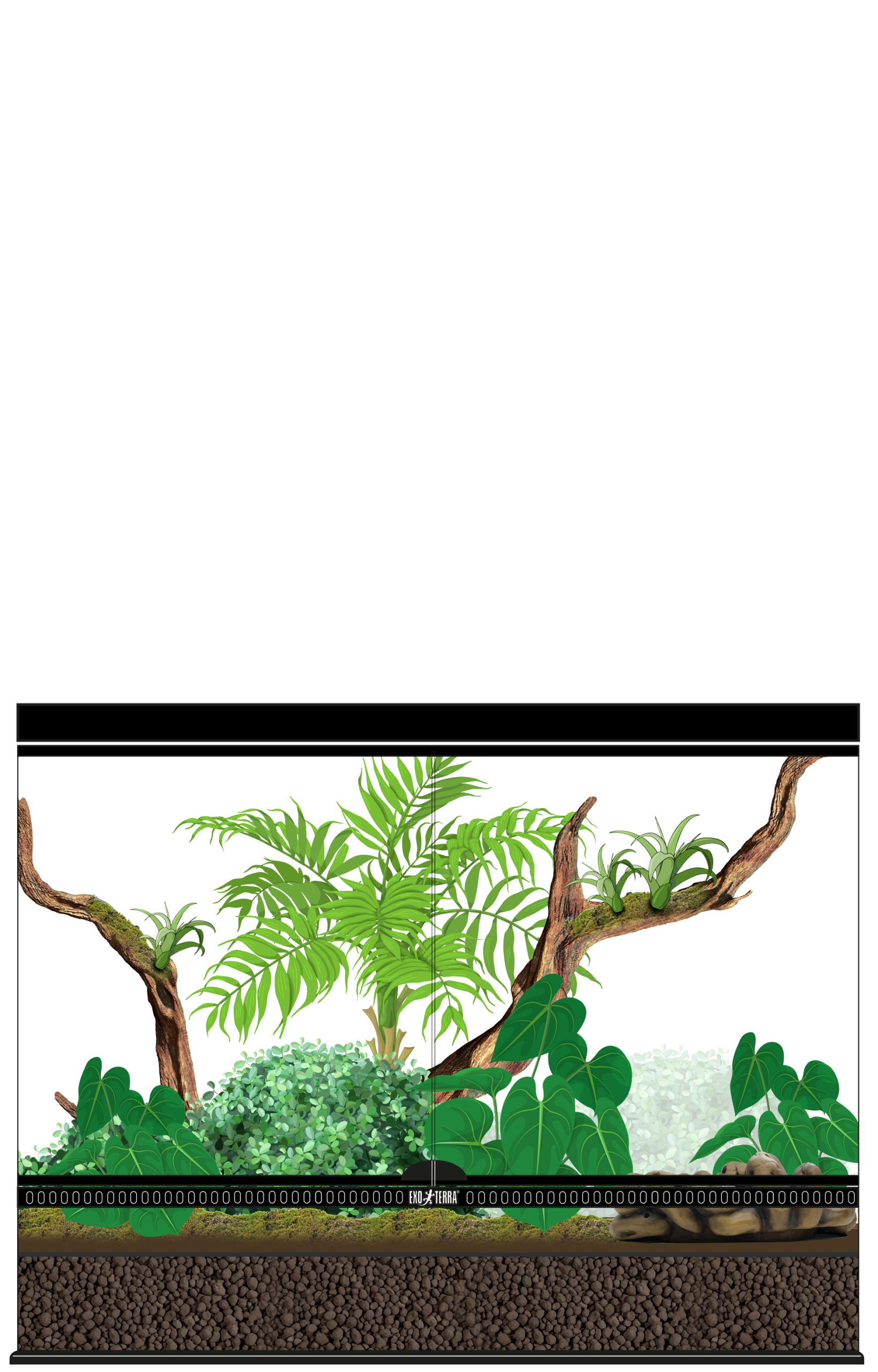 Tropical Aqua Terrarium