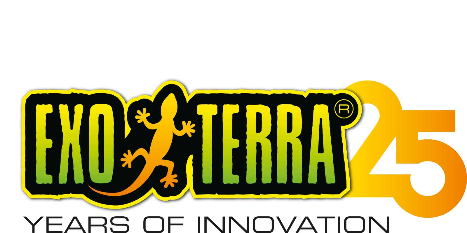 25 Ans D'innovation