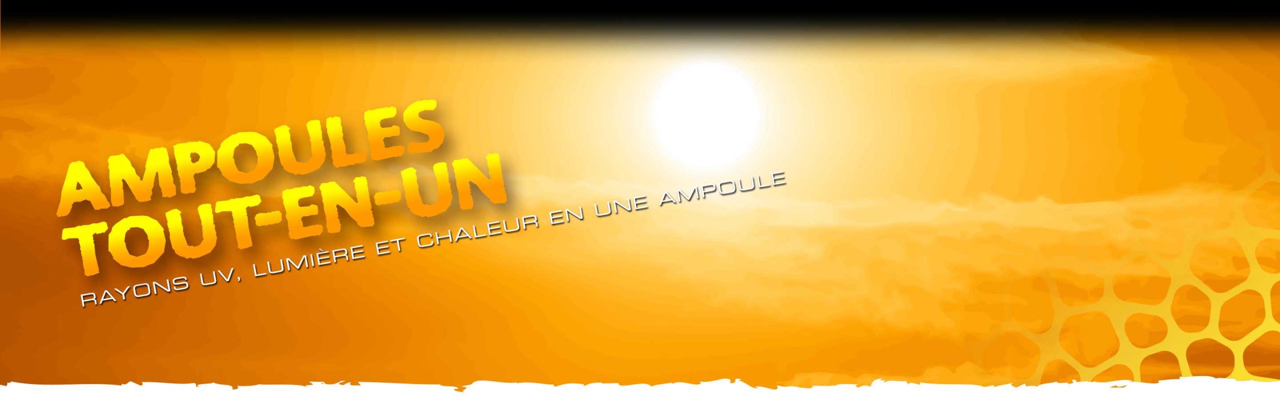 All-in-one Bulbs Header