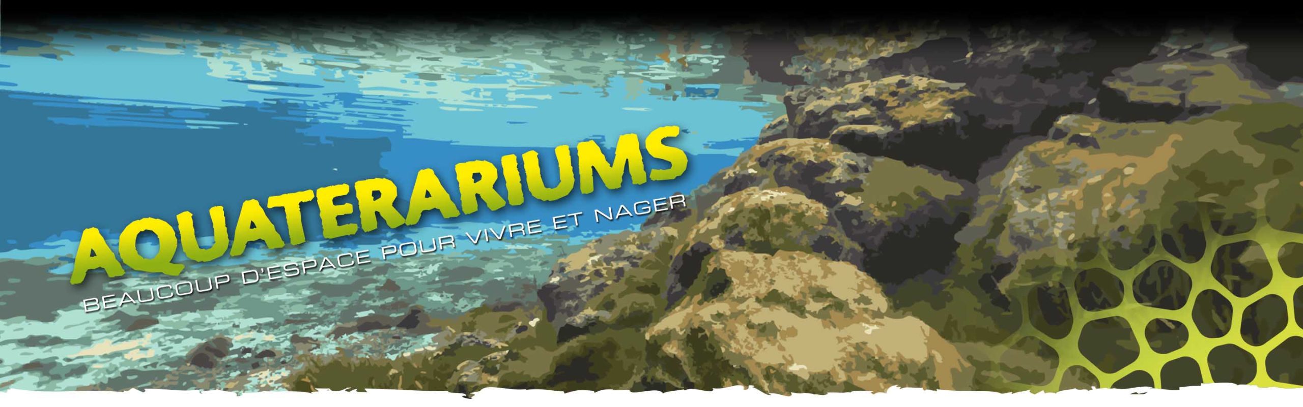 Aquatic Terrariums Header
