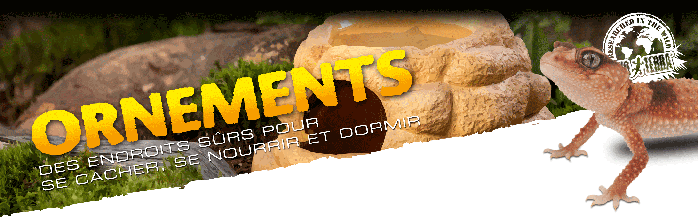 Ornements