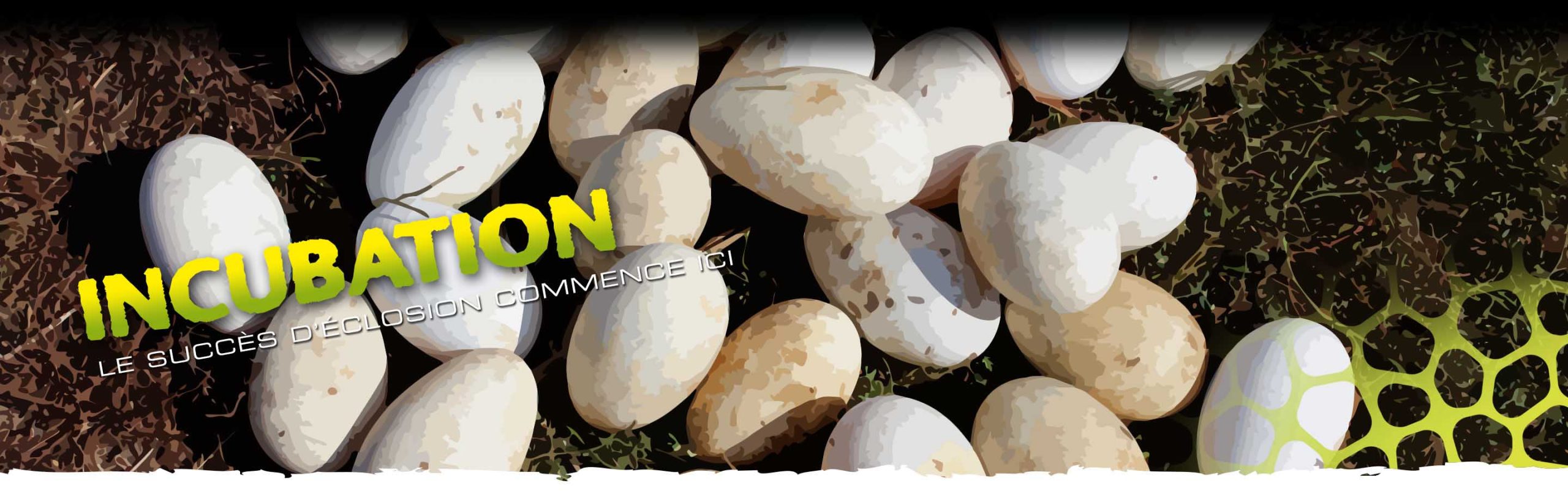 Incubation Header