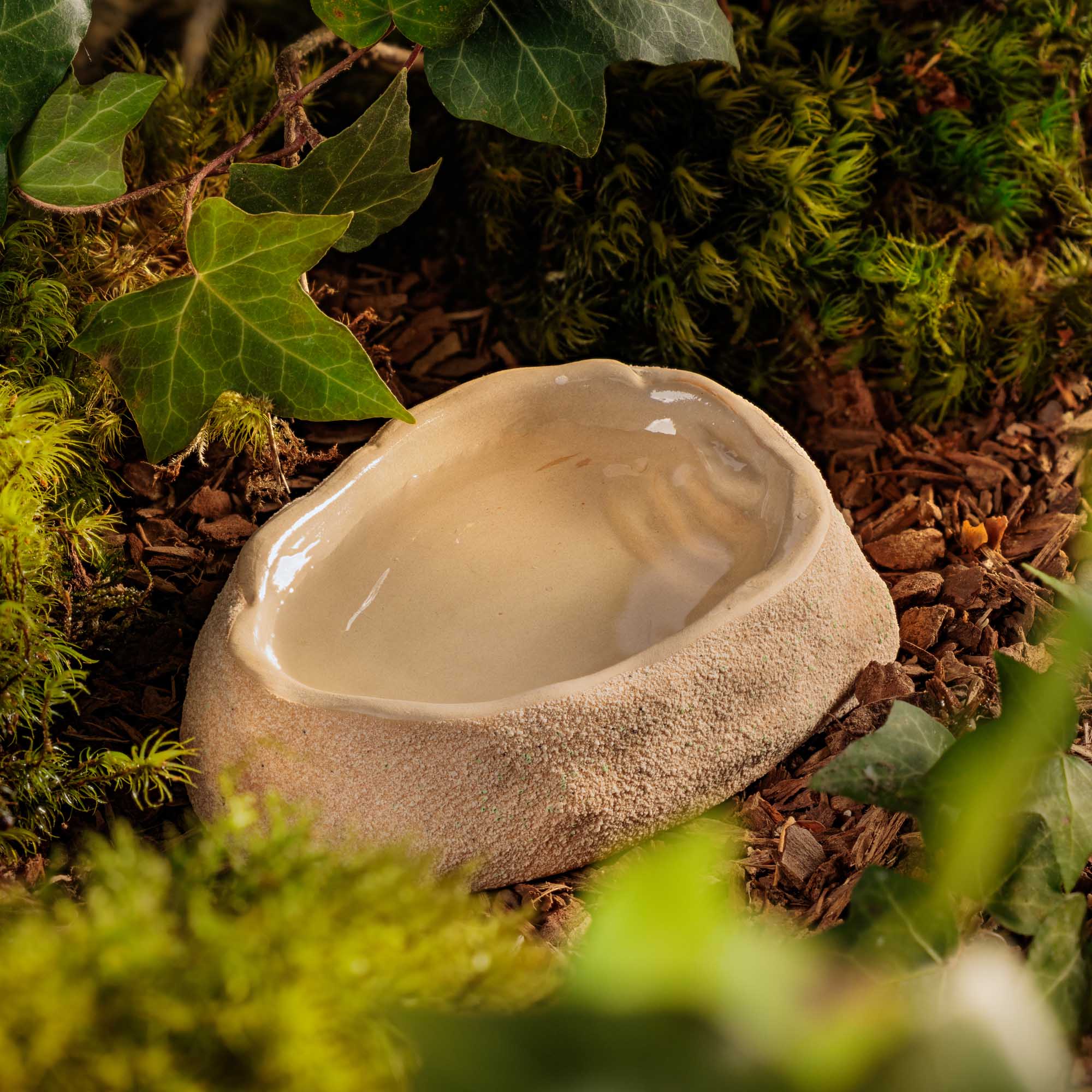 Terrarium Dish Medium – Image 6