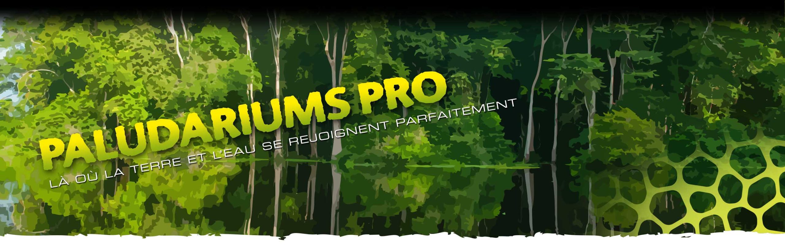 Paludariums Pro