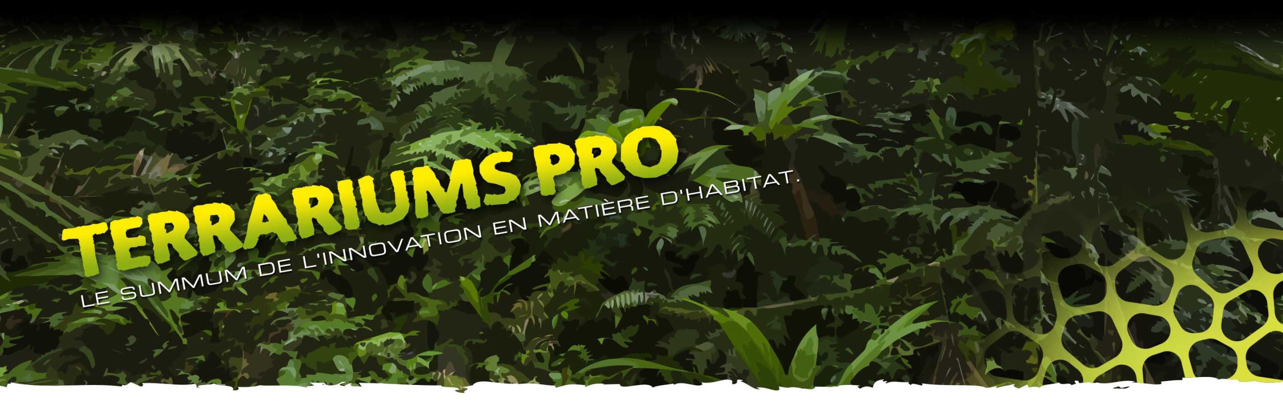 Terrariums Pro