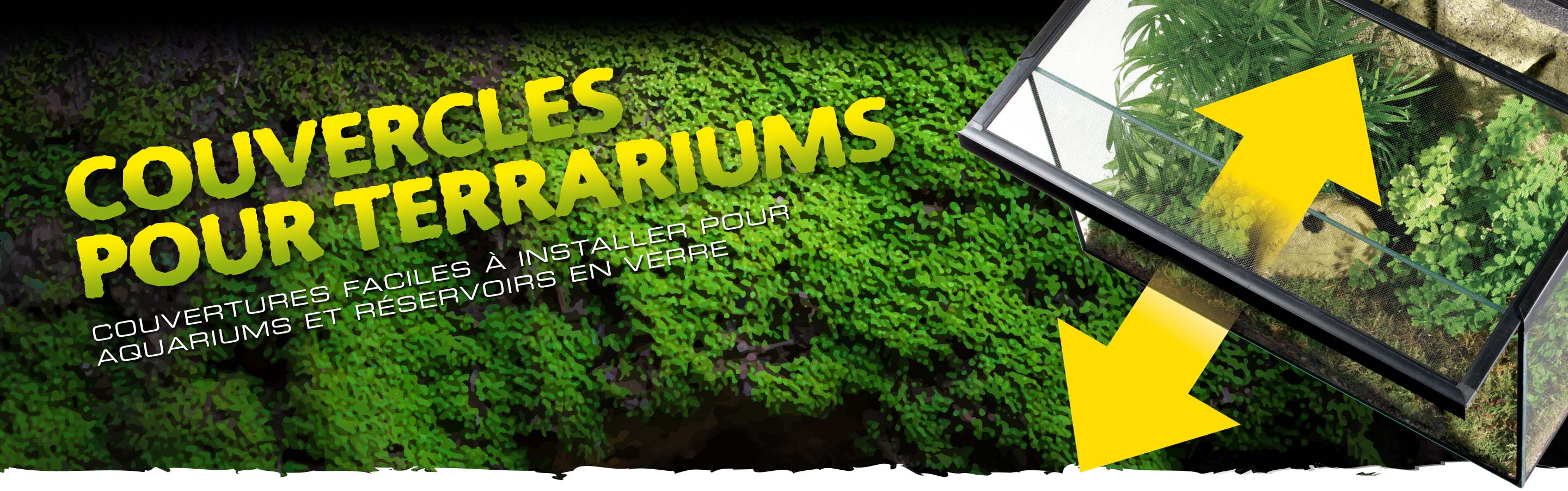 Terrarium Covers Header