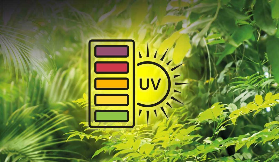 Qu&rsquo;est-ce Que Les UV-B ?