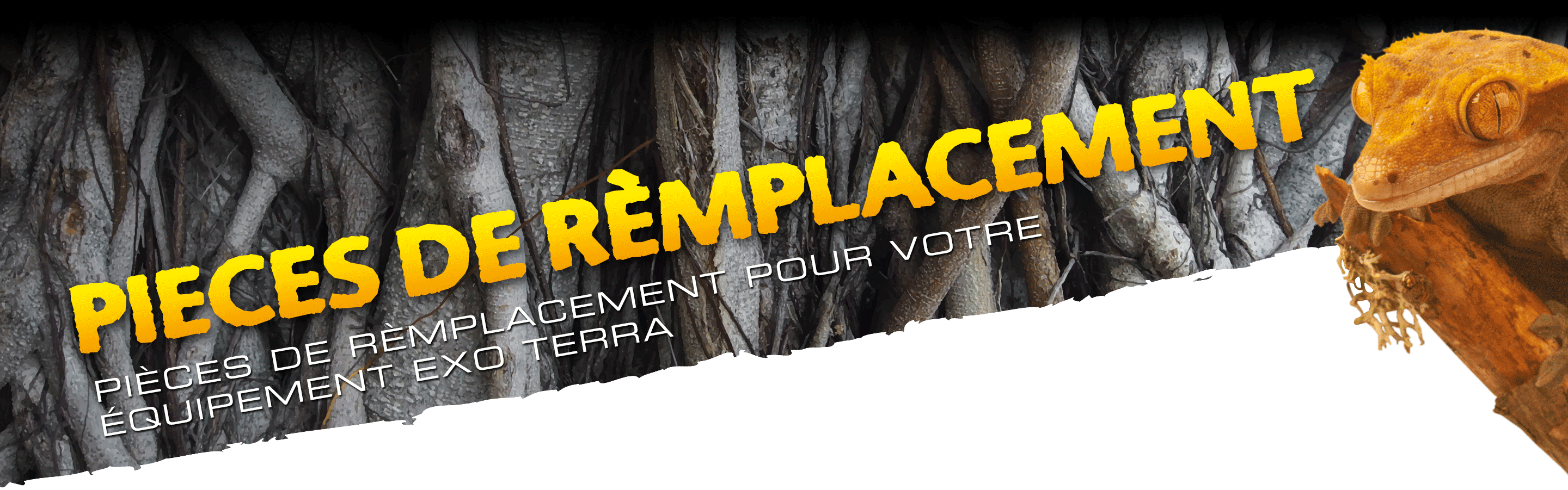 Pièces de remplacement