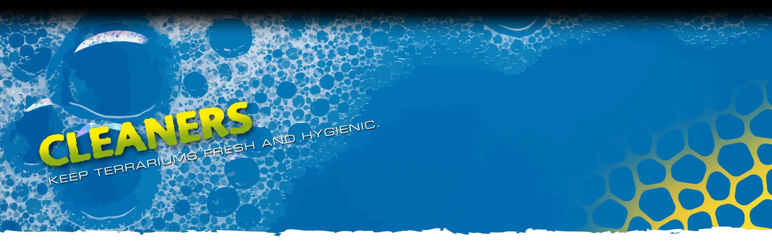 Cleaners Header