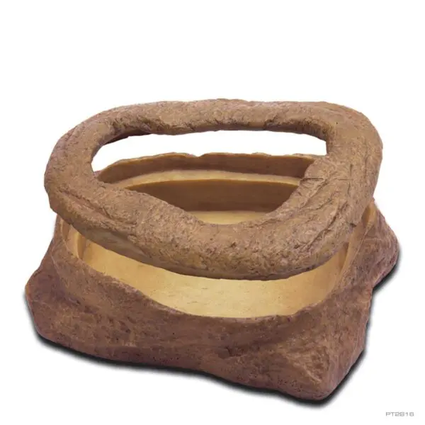 Meal Worm Dish