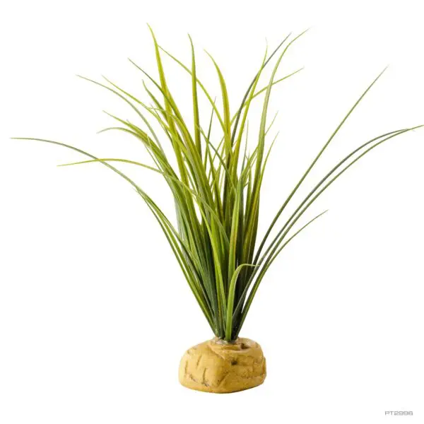 Turtle Grass