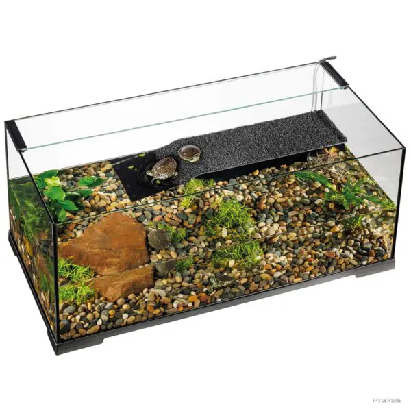 Turtle Haven