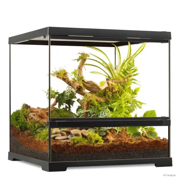Pro Terrarium Small Wide