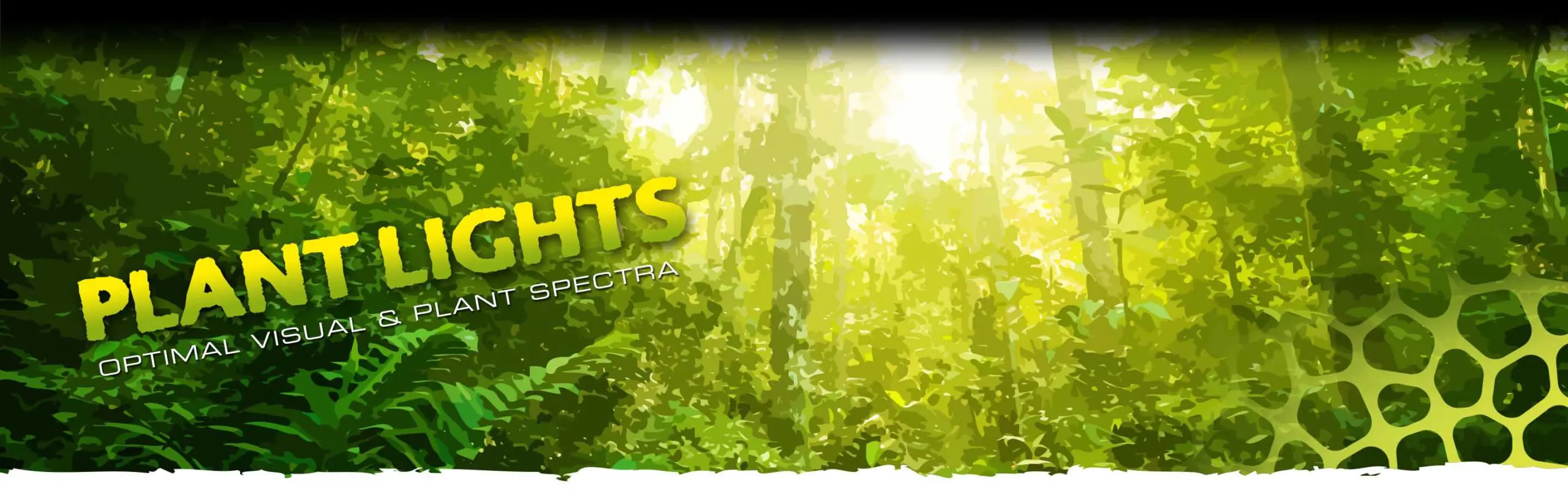 Plant Lamps Header