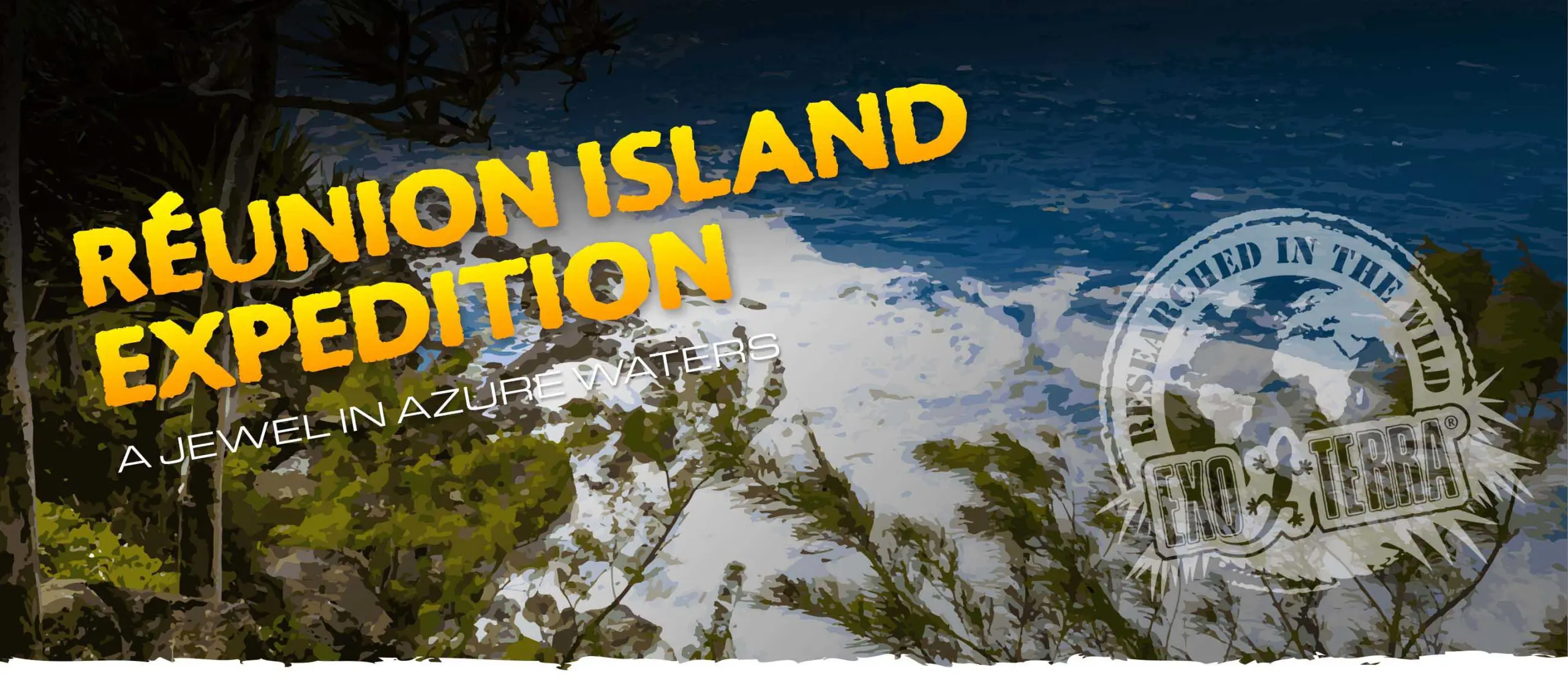R&eacute;union Island