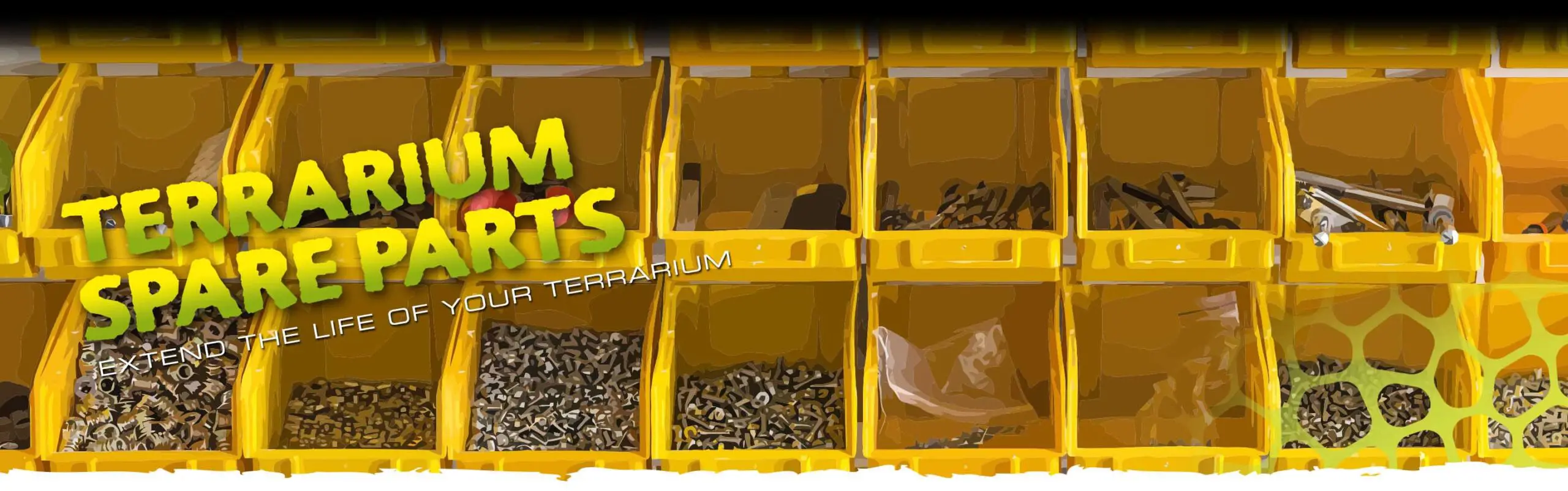 Natural Terrariums Header