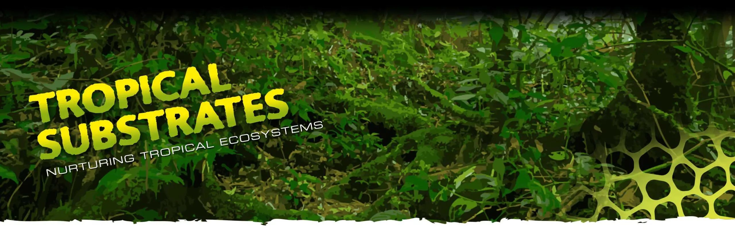 Tropical Substrates Header