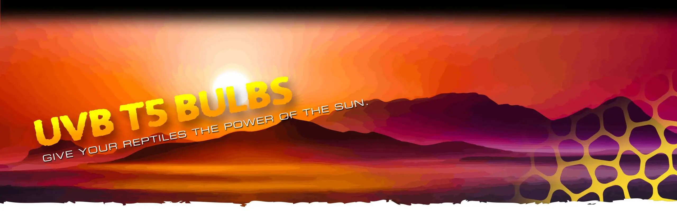 Ultraviolet Lights Header