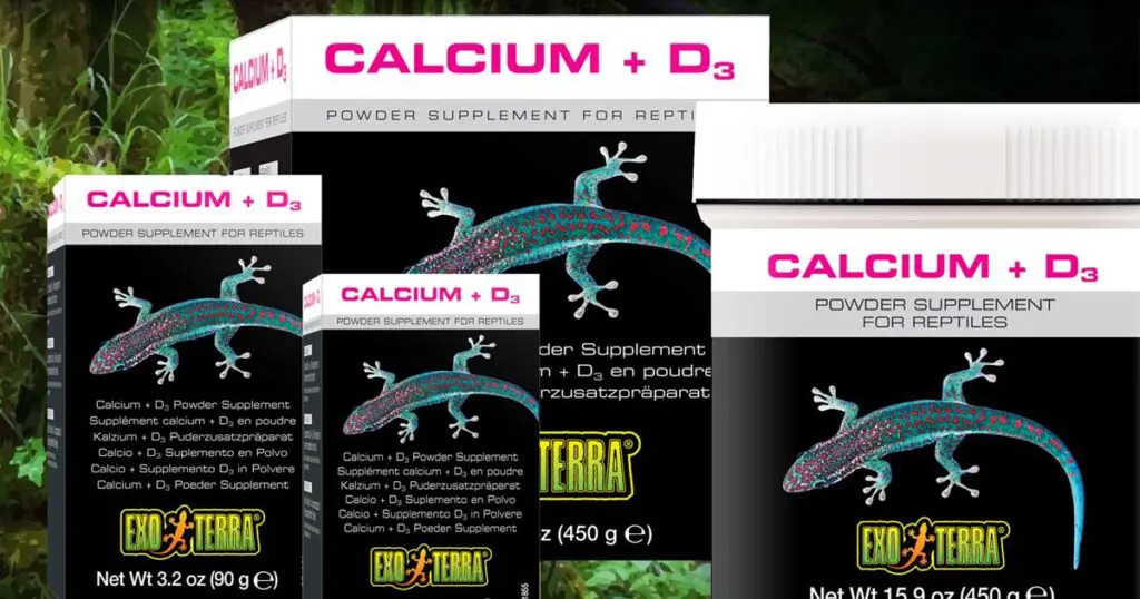 Supplements: a crucial food component