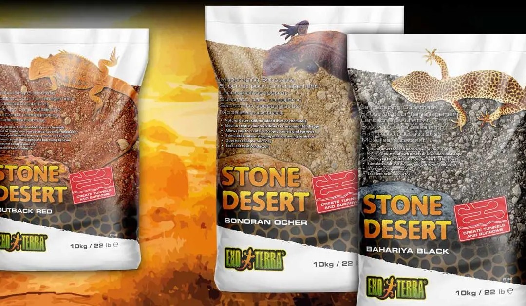 Stone Desert