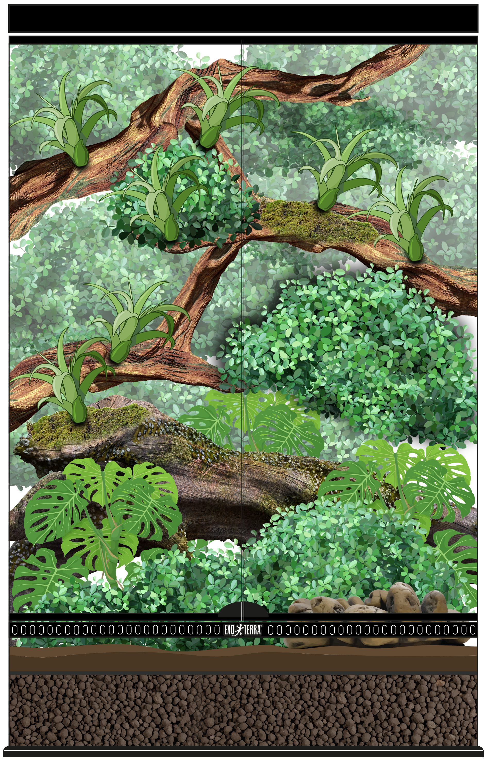 Rainforest Canopy Terrarium