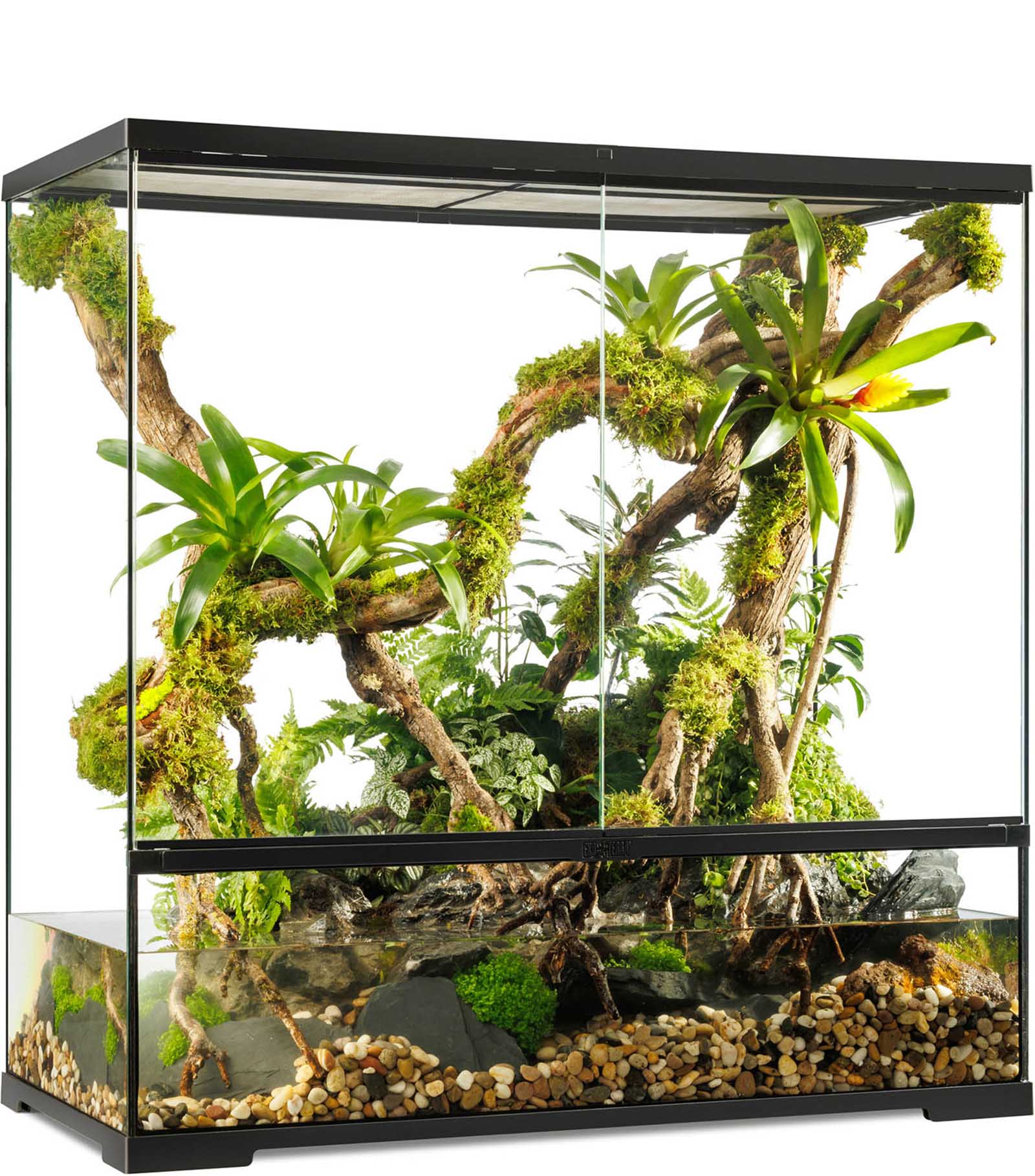 Terrariums