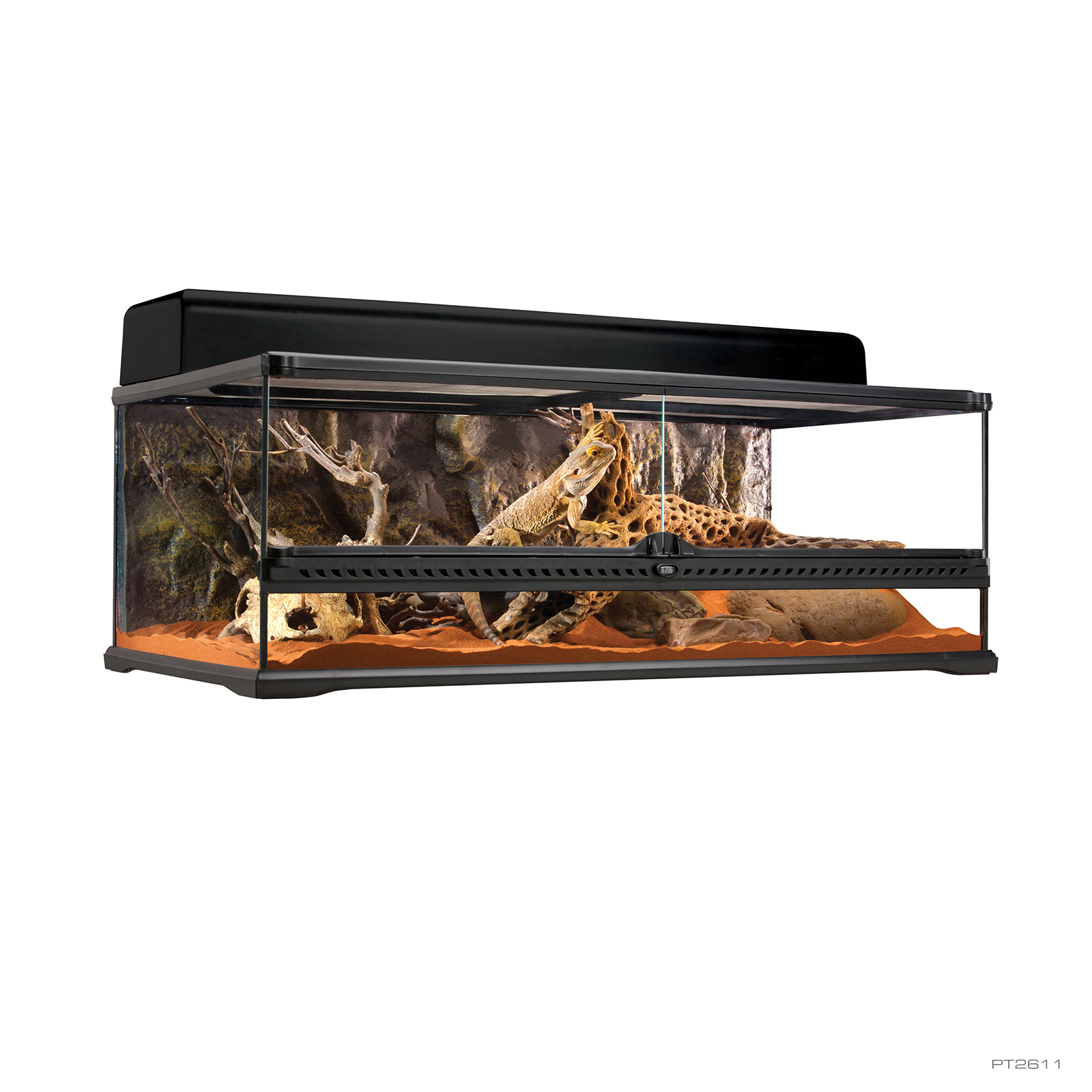 Natural Terrarium Large Low