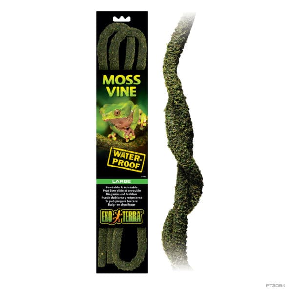 Moss Vines Large