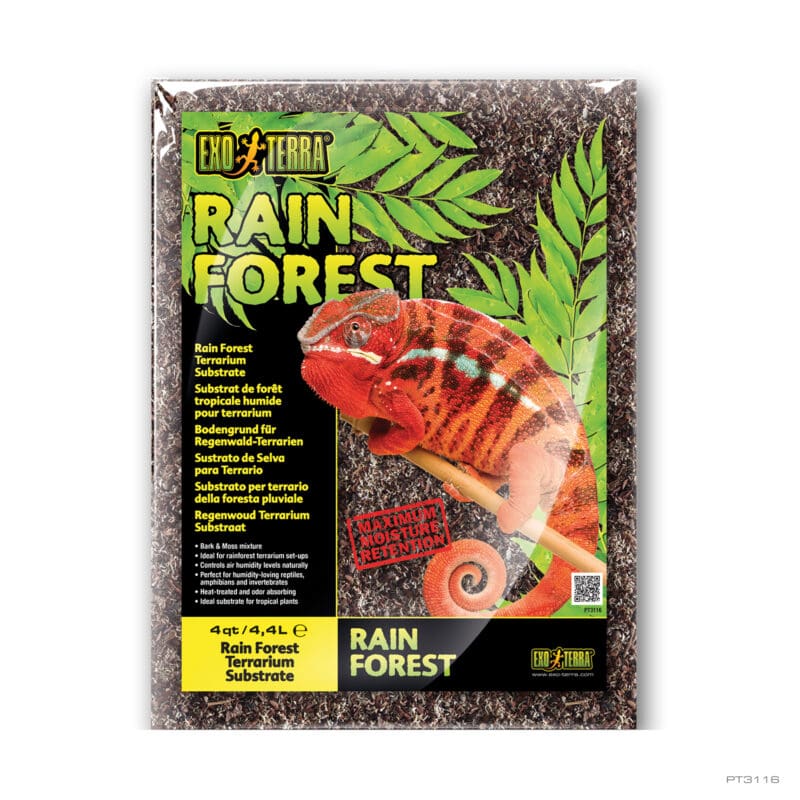 Rain Forest 4QT - 4