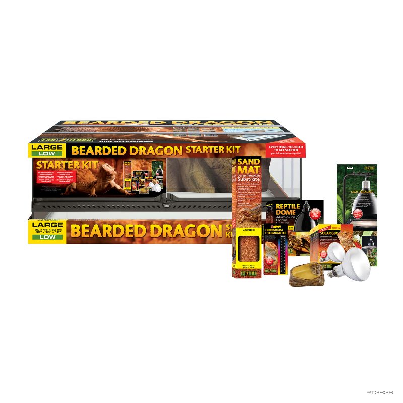 Bearded Dragon Starter Kit