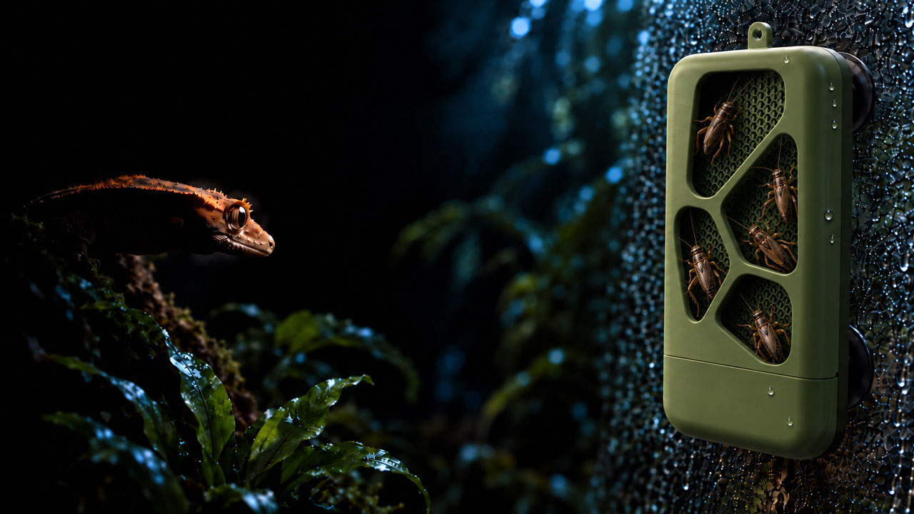 Exo Terra BIOTIC Cricket Feeder PT4895 with front feeding openings and textured internal panels