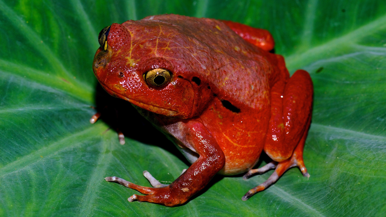 Habitat enrichment