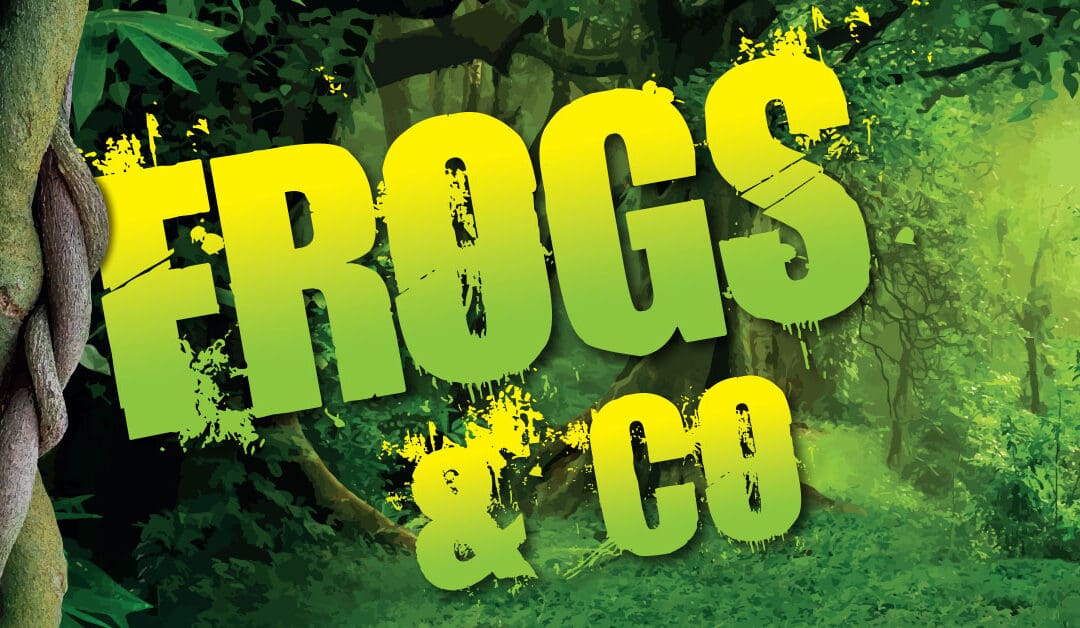 Frogs & Co