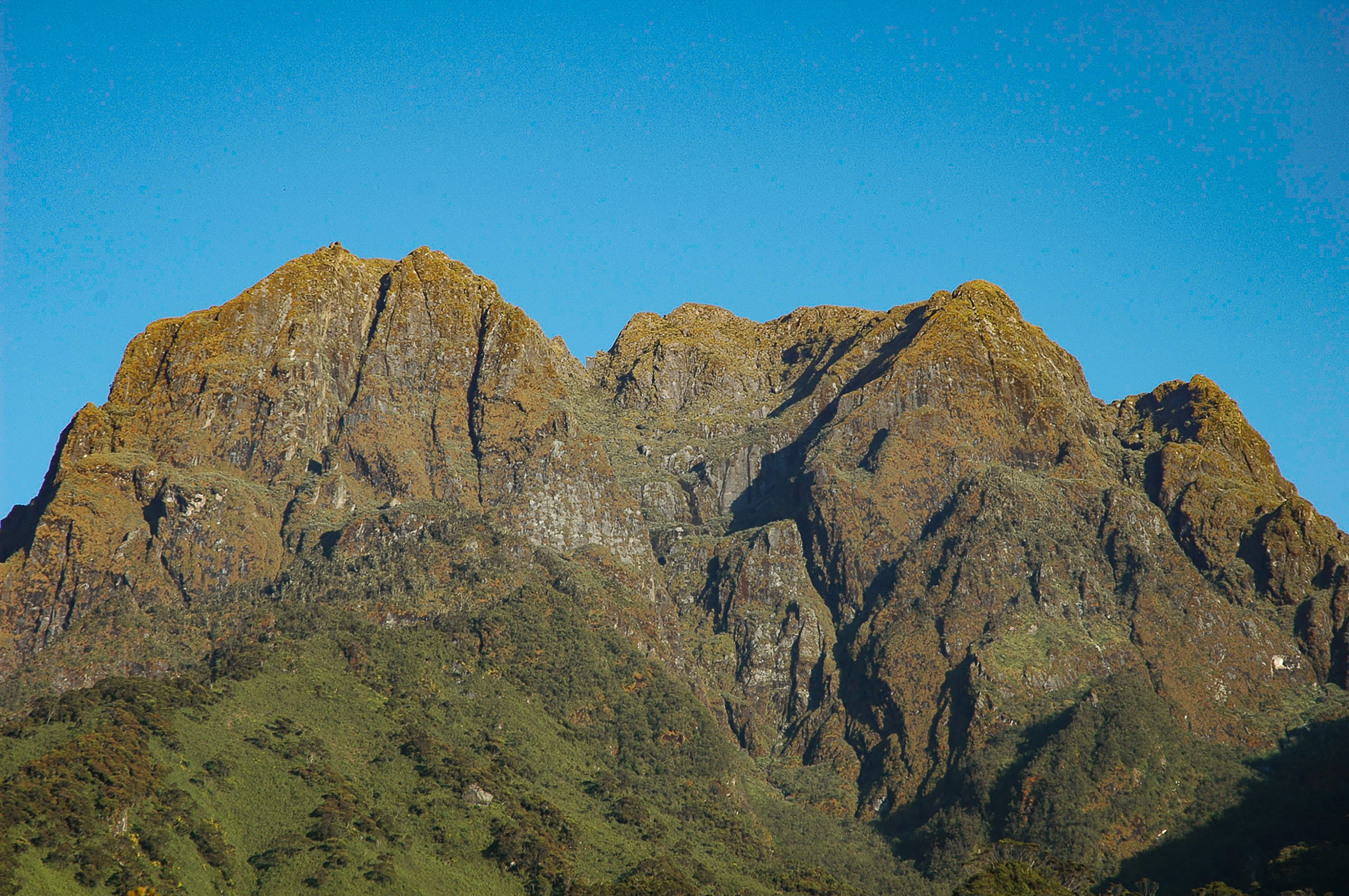 Rwenzori Mountains