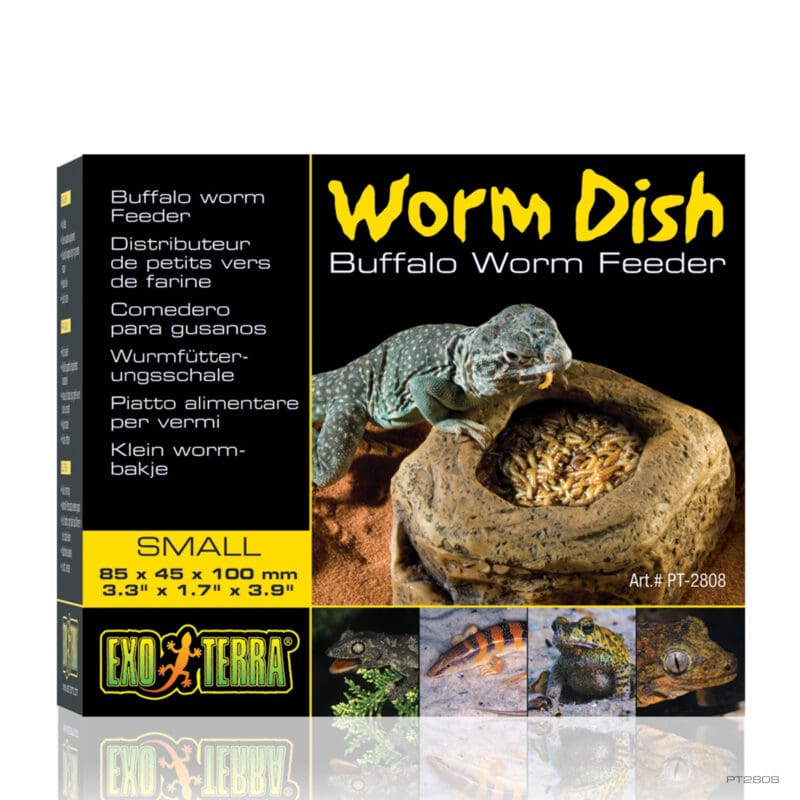 Worm Dish