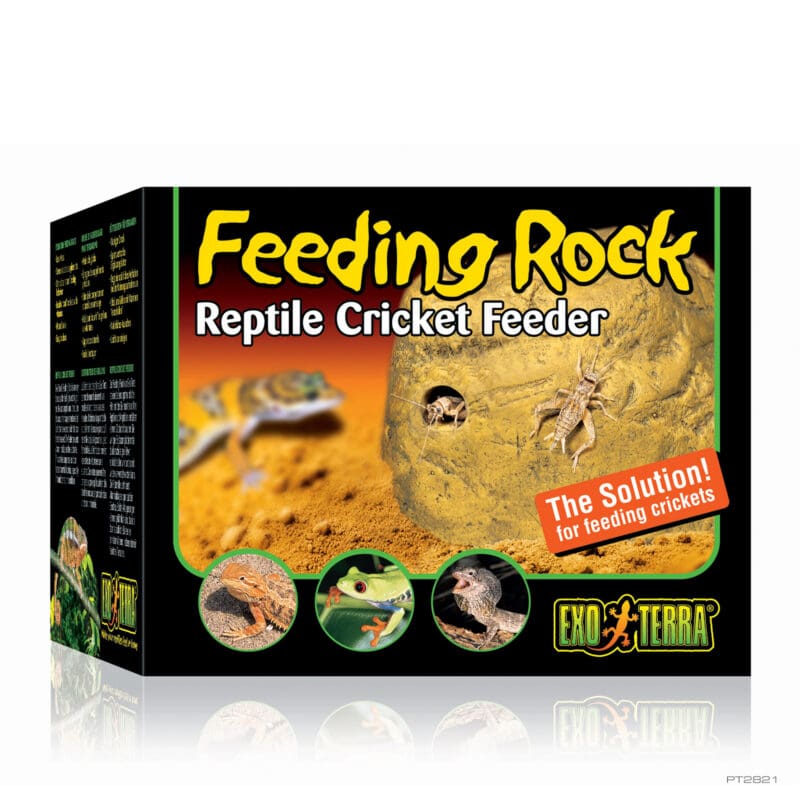 Feeding Rock