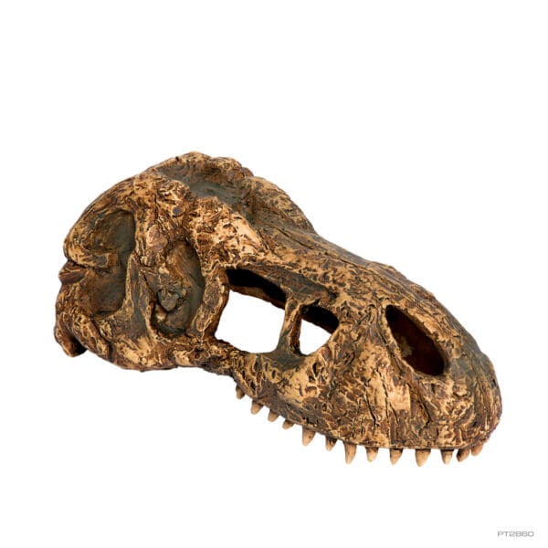 T-Rex Skull Small