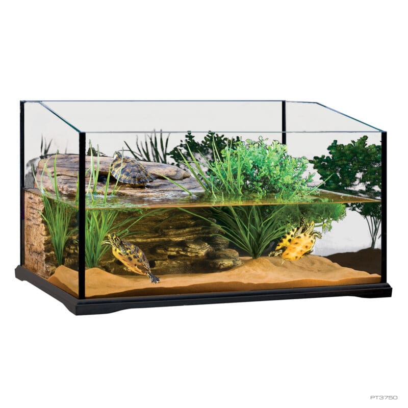 Turtle Terrarium Medium