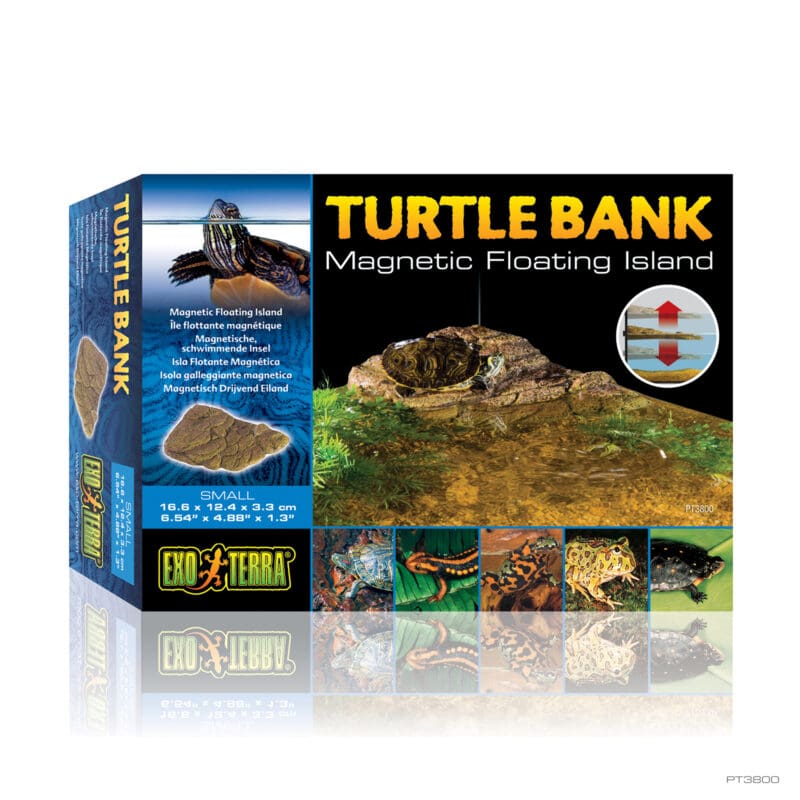 Turtle Bank Small