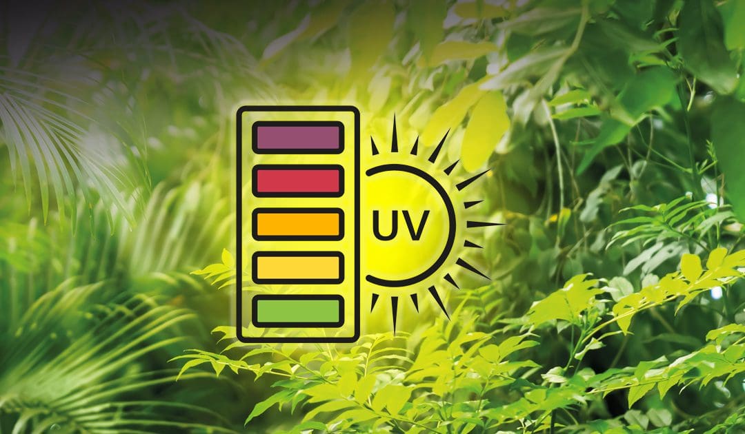 Qu’est-ce Que Les UV-B ?