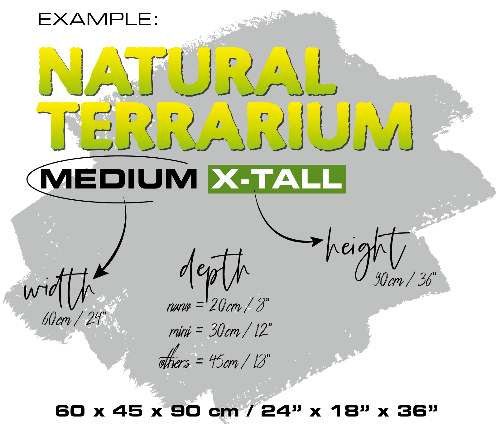 Terrarium Sizes